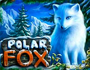 Игровой автомат Silver Fox